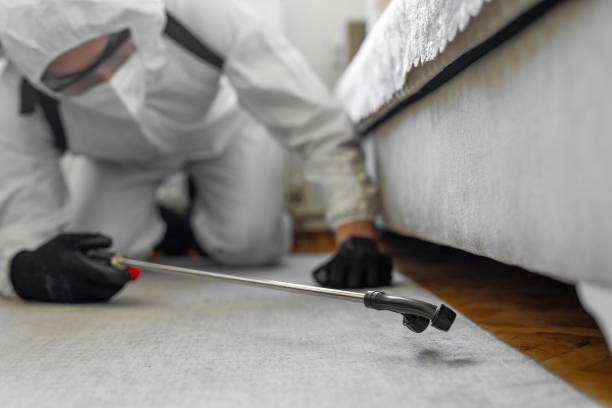 Professional Cockroach Control technician working in Benavides, TX